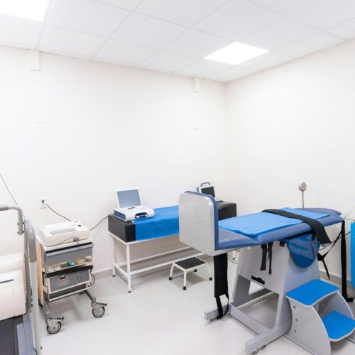 pexels-cristian-rojas-8460234